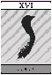 XVI-両断