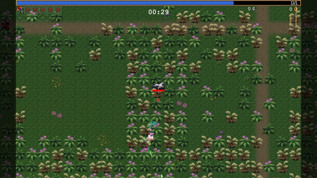 オ・ソーレで植物の上を走り回る